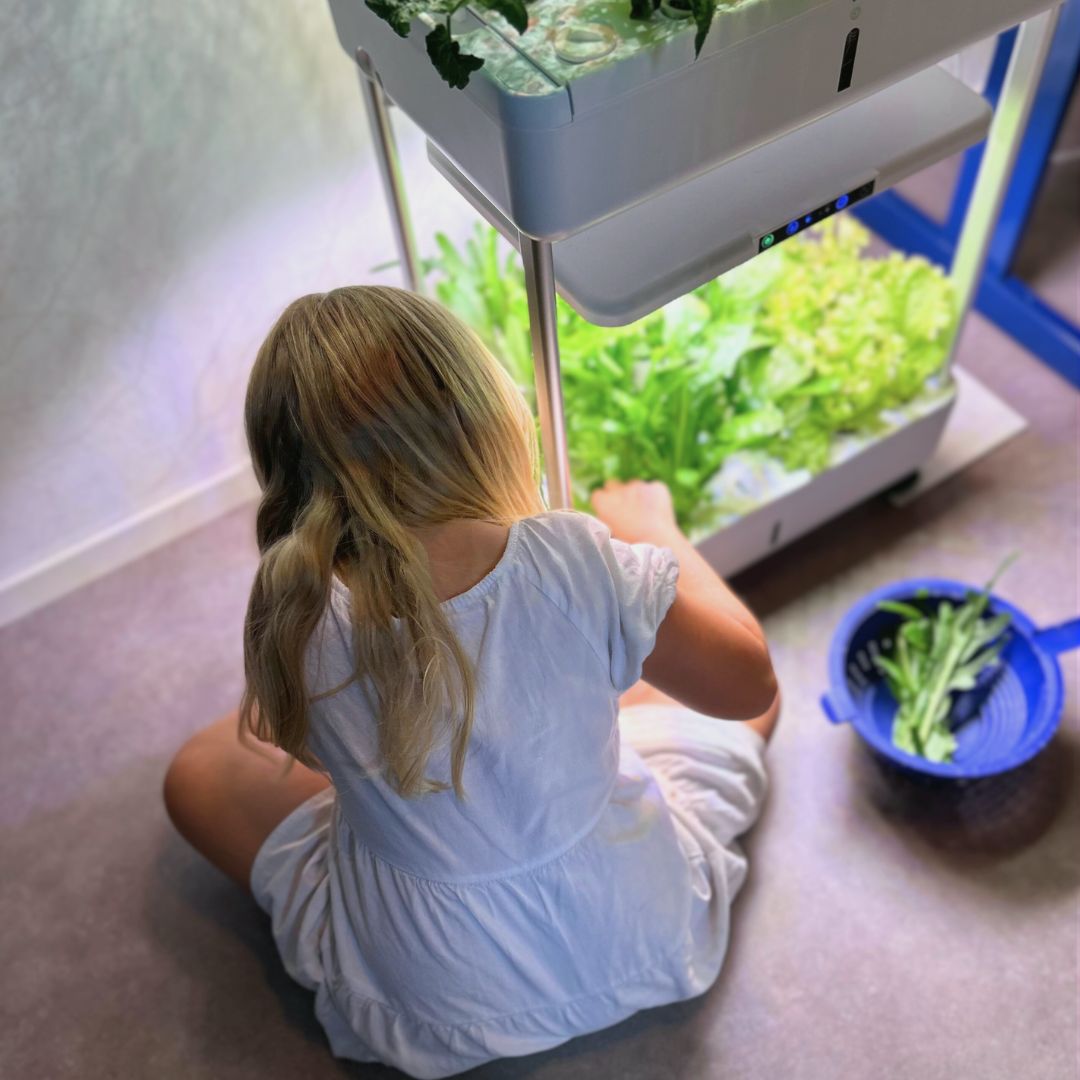 Urban Oasis HydroLush