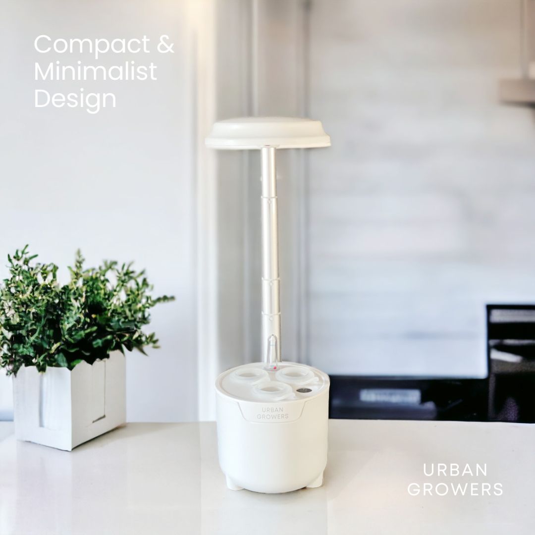 Urban Oasis Mini-Y03